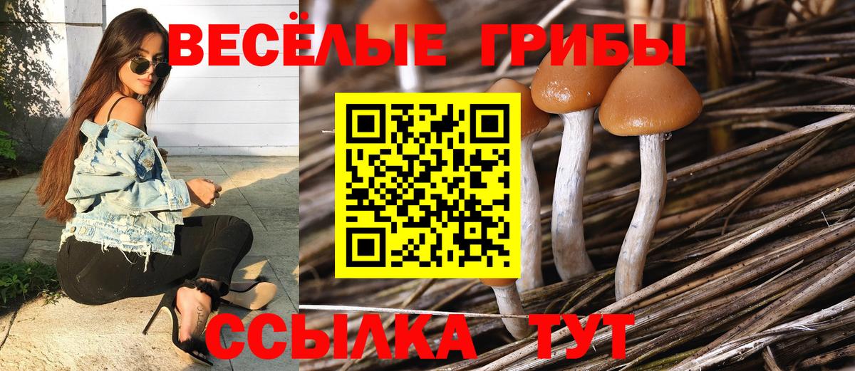 Мирный  Псилоцибиновые грибы Psilocybe  Галлюциногенные грибы мухоморы  Вход с VPN 