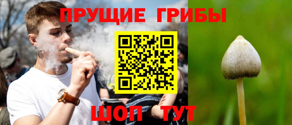 Галлюциногенные грибы GOLDEN TEACHER Мирный